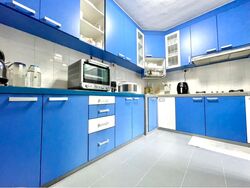 Blk 503 Panshan View (Bukit Panjang), HDB Executive #627436851